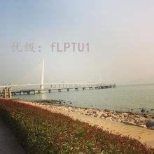 ȼ