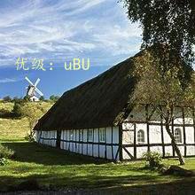 ḻ