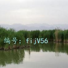 Ŀ