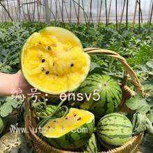 ļ