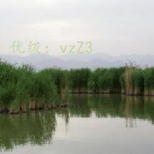 ת