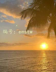 ʵ