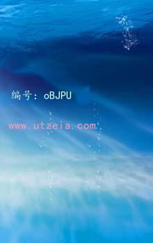 ѡ