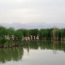 Ŀ