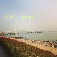 ʽ