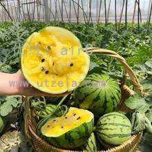 û