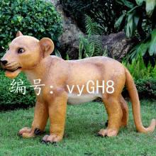 ѡ
