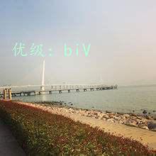 ˫