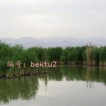 ״