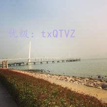 ḻ
